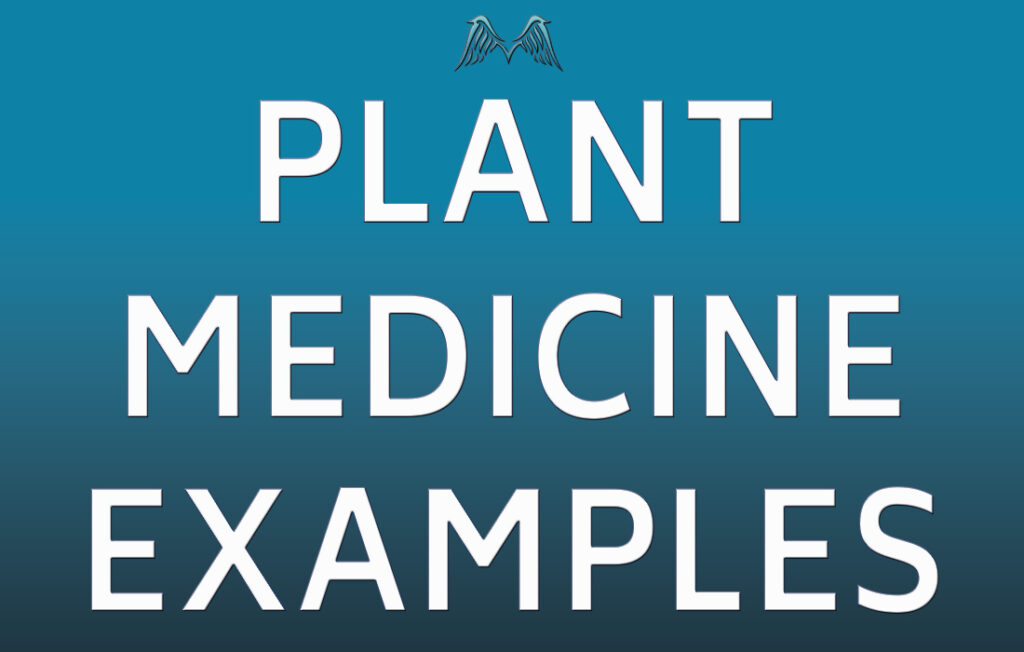 Plant Medicines | Moyenda Institute