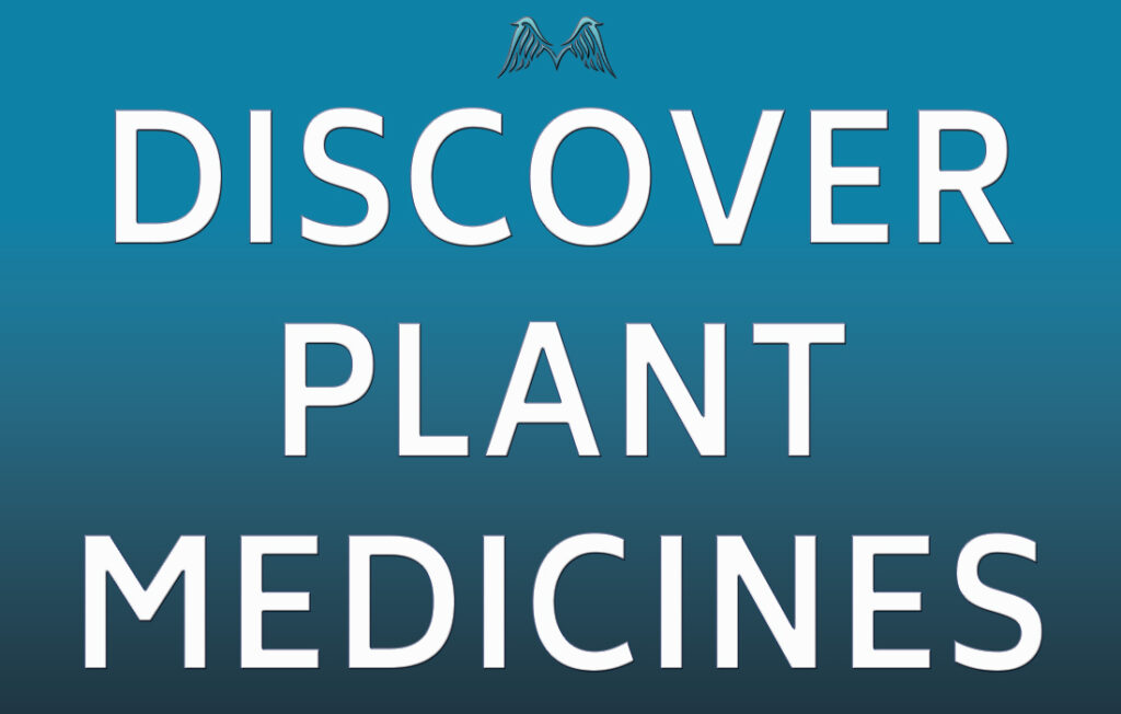 Plant Medicines | Moyenda Institute