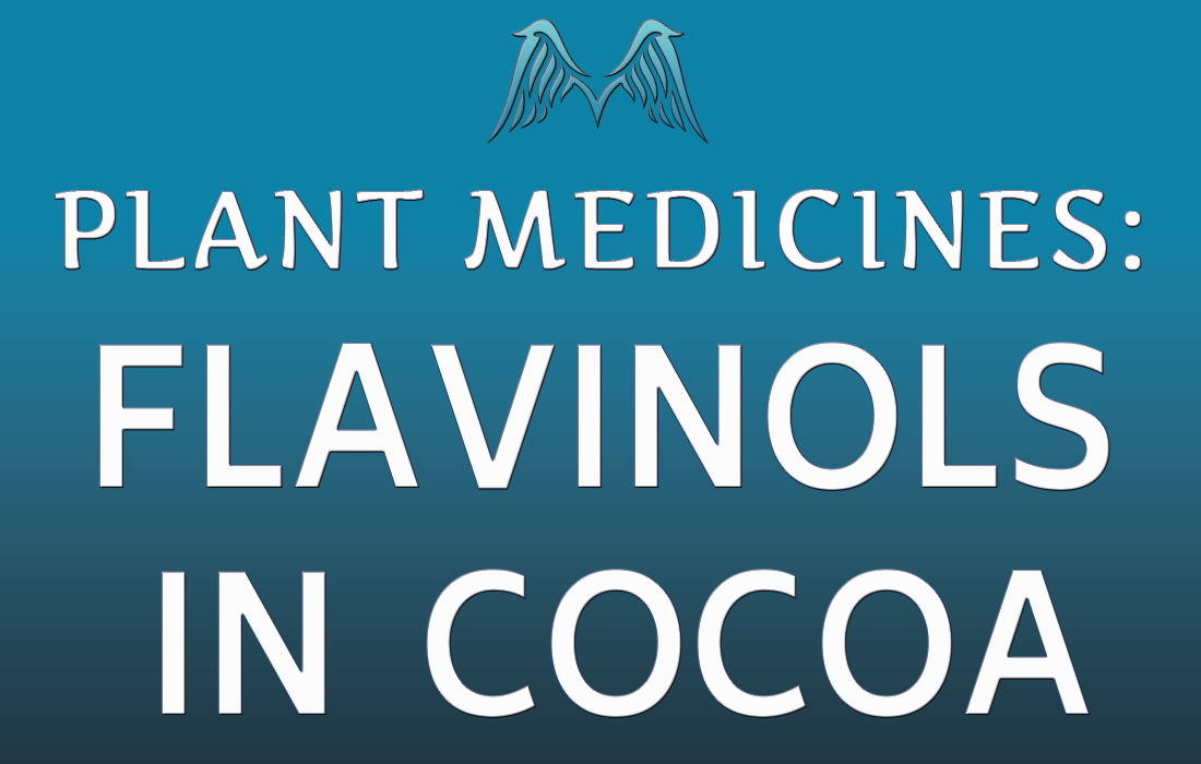 Cocoa Plant Medicines | Moyenda Institute