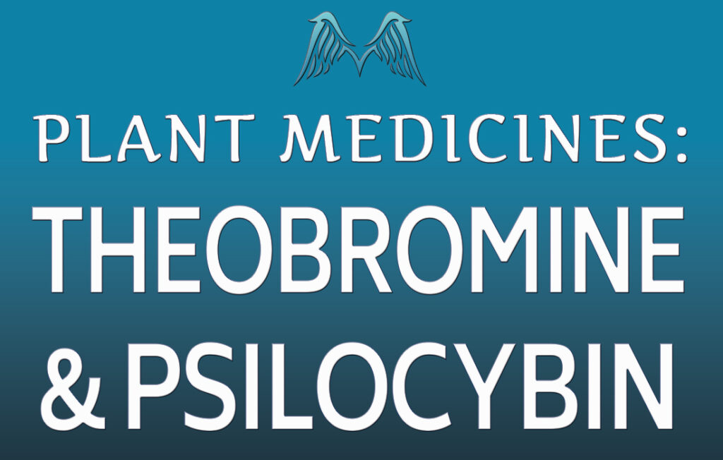 Psilocybin Plant Medicine | Moyenda Institute