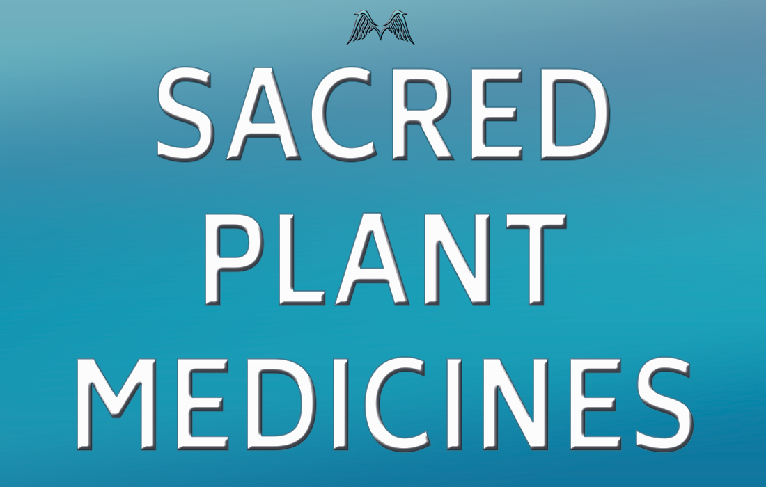 Plant Medicines | Moyenda Research and Healing Institute