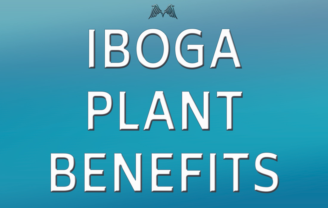 Iboga Plant Benefits | Moyenda Research and Healing Institute