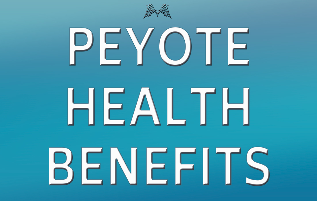 Peyote Health Benefits | Moyenda Research and Healing Institute