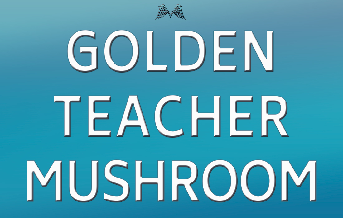 Golden Teacher Mushrooms | Moyenda Research and Healing Institute